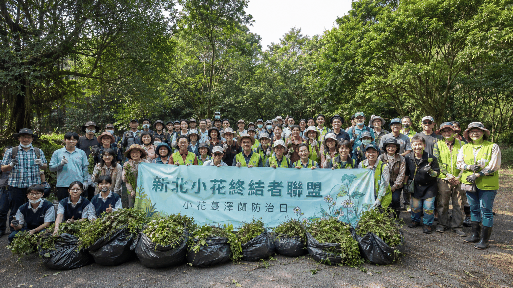 「新北小花終結者聯盟」集結　250人攜手清除外來入侵種 | ETtoday地方新聞 | ETtoday新聞雲 封面圖